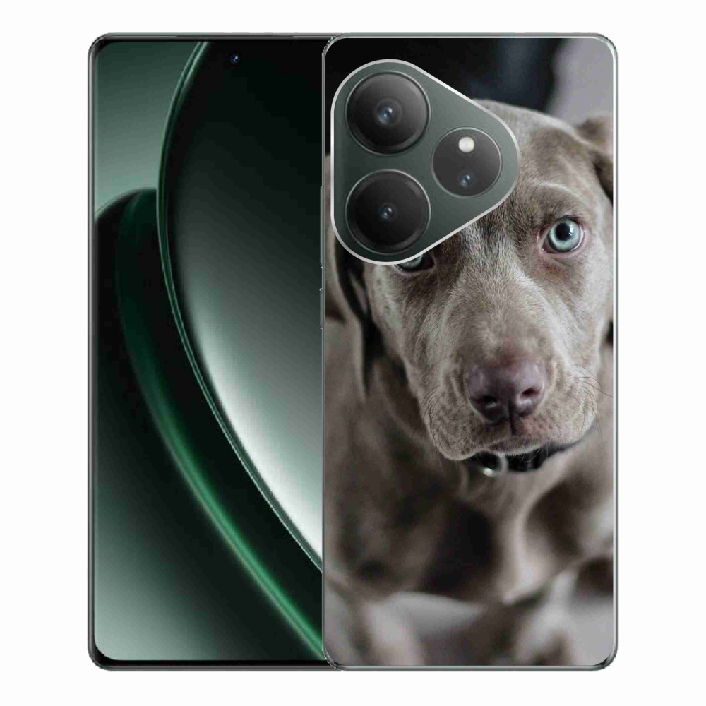 Gelový obal mmCase na Realme GT 6 5G/GT 6T 5G - výmarský ohař