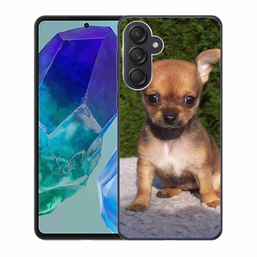 Gelový obal mmCase na Samsung Galaxy M55 5G - čivava 3
