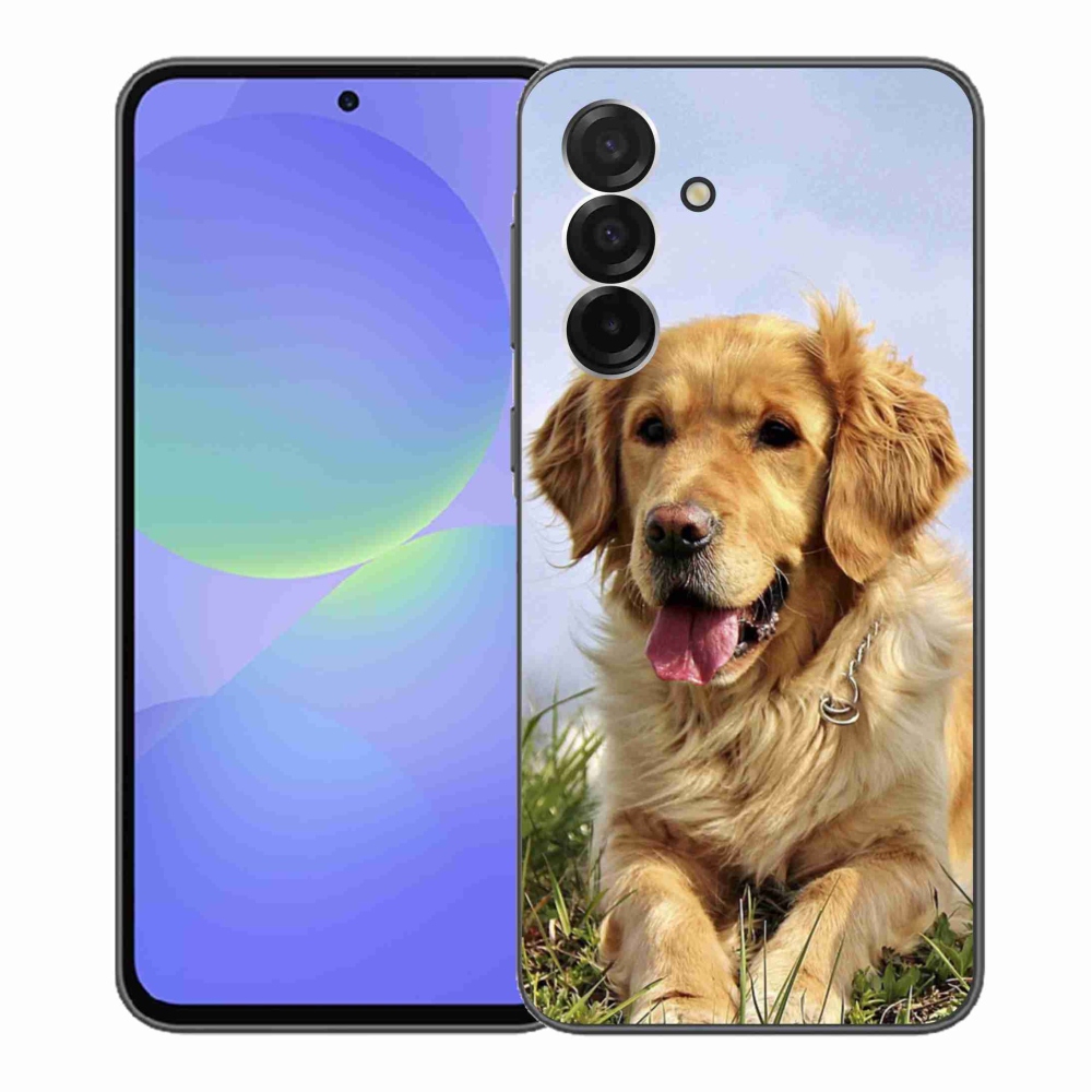 Gelový kryt mmCase na Samsung Galaxy A36 5G - zlatý retrívr