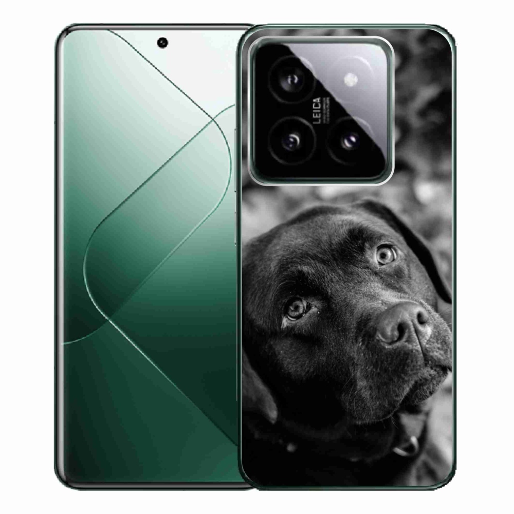Gelový obal mmCase na Xiaomi 14 Pro - labrador