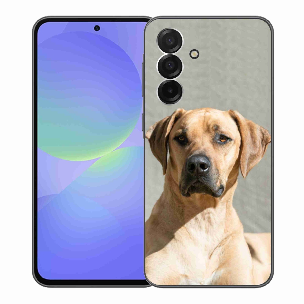 Gelový kryt mmCase na Samsung Galaxy A36 5G - ridgeback
