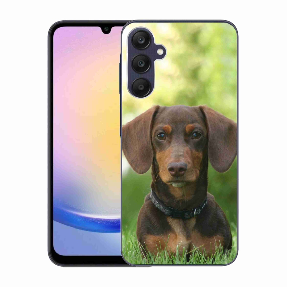 Gelový obal mmCase na Samsung Galaxy A25 5G - hnědý jezevčík