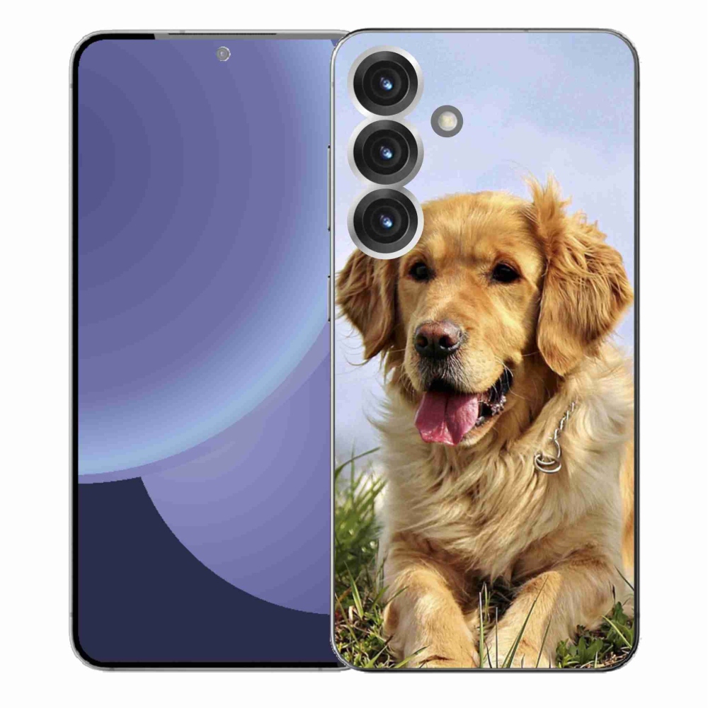 Gelový kryt mmCase na Samsung Galaxy S25+ - zlatý retrívr