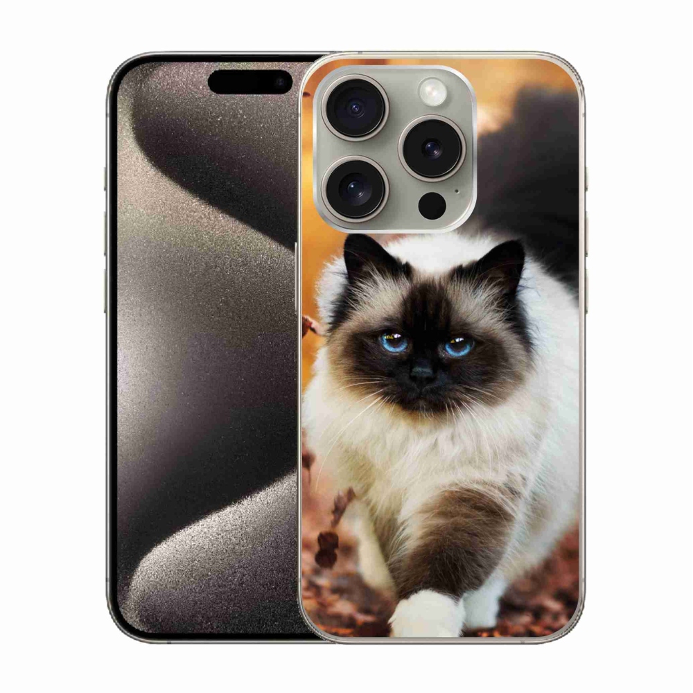 Gelový obal mmCase na iPhone 15 Pro - kočka