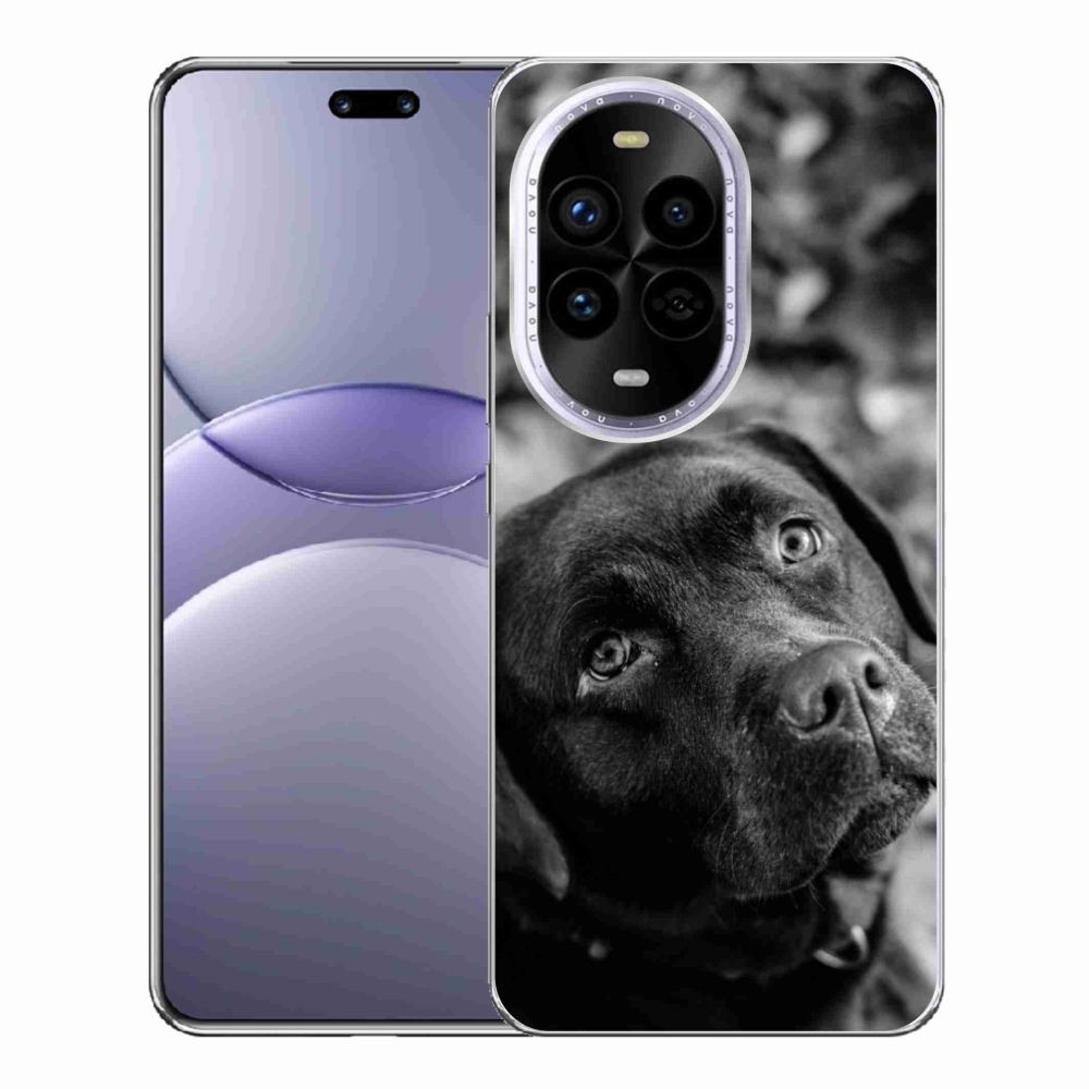 Gelový kryt mmCase na Huawei Nova 13 Pro 5G - labrador
