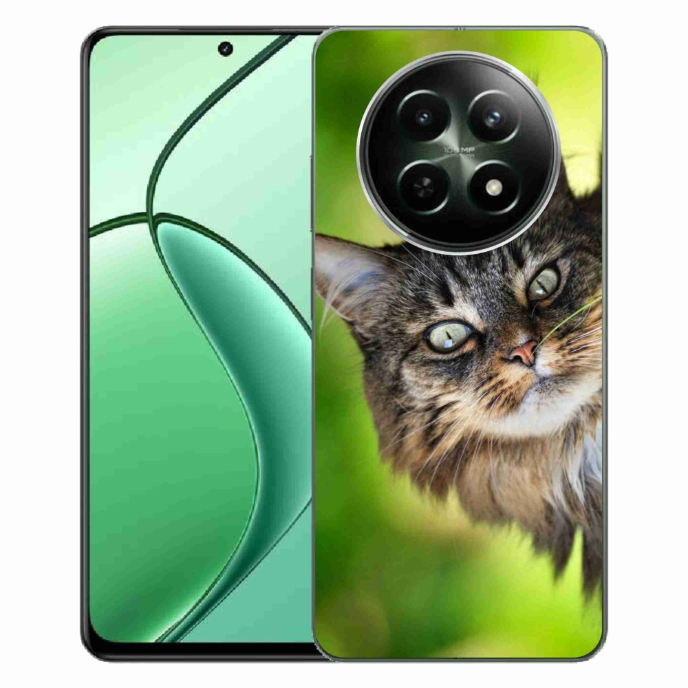 Gelový kryt mmCase na Realme 12 5G/12x 5G - kočka 3