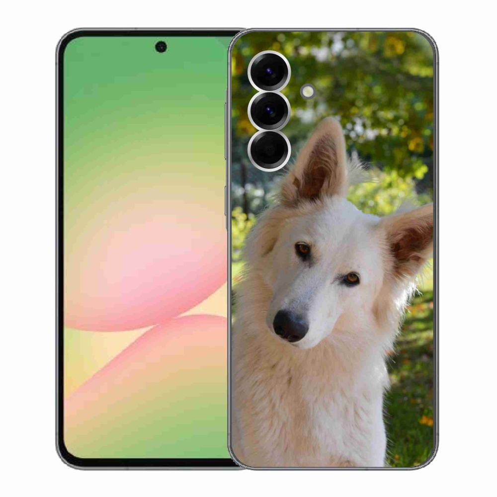 Gelový kryt mmCase na Samsung Galaxy A56 5G - bílý švýcarský ovčák 1
