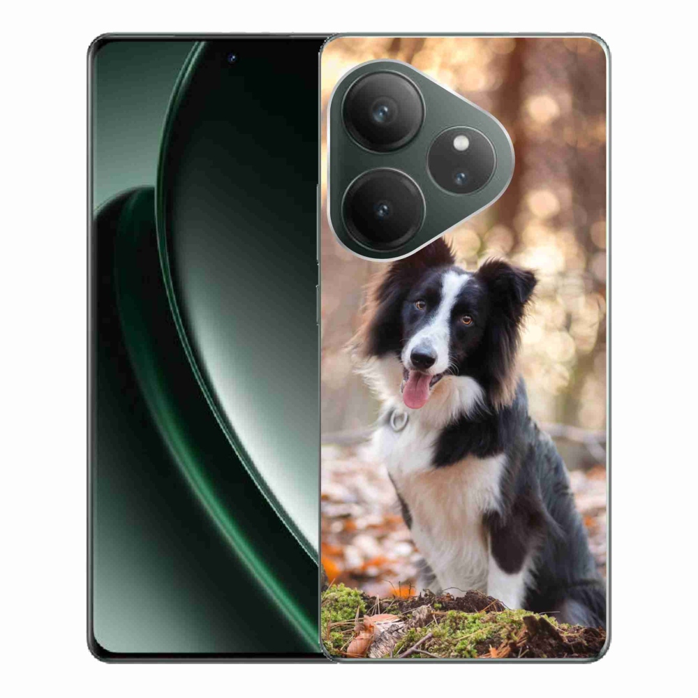 Gelový obal mmCase na Realme GT 6 5G/GT 6T 5G - border kolie 1