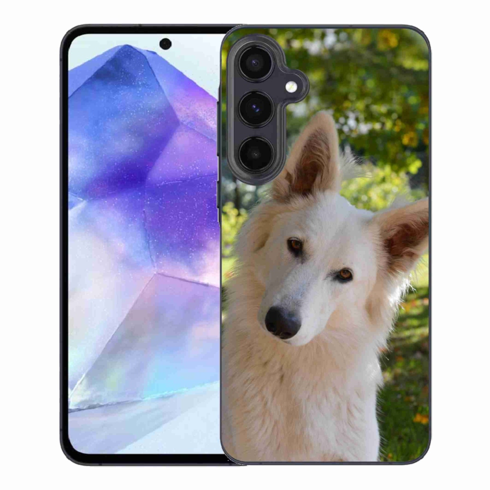 Gelový kryt mmCase na Samsung Galaxy A55 5G - bílý švýcarský ovčák 1