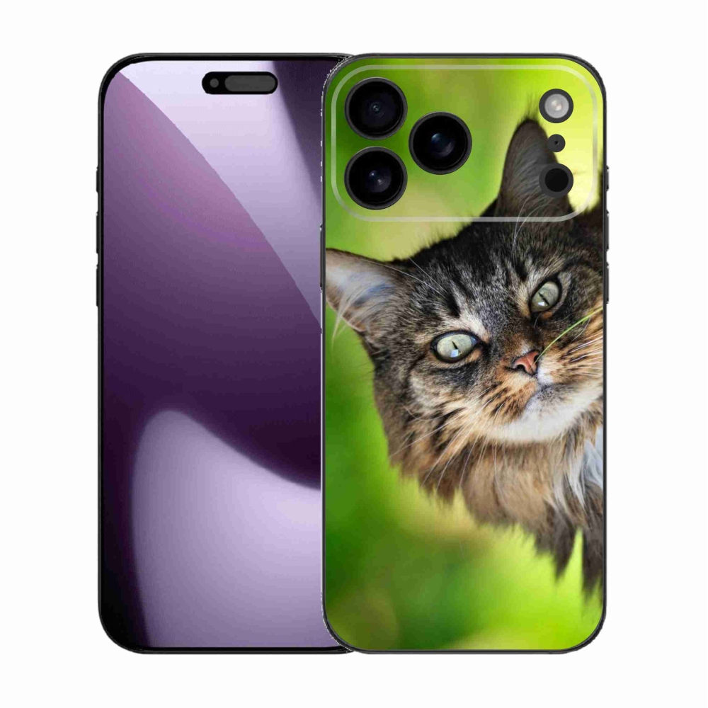 Gelový kryt mmCase na iPhone 17 Pro Max - kočka 3