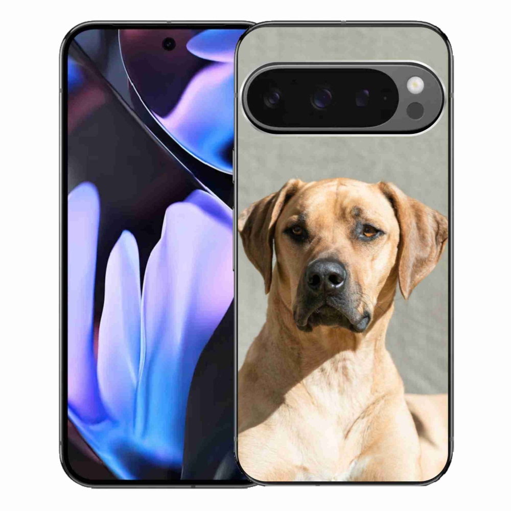 Gelový kryt mmCase na Google Pixel 9 Pro XL - ridgeback
