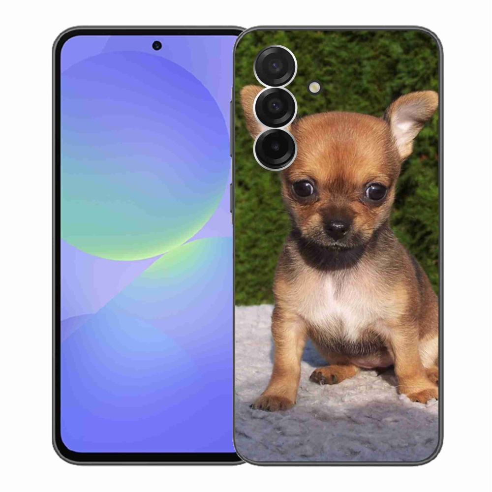 Gelový kryt mmCase na Samsung Galaxy A36 5G - čivava 3