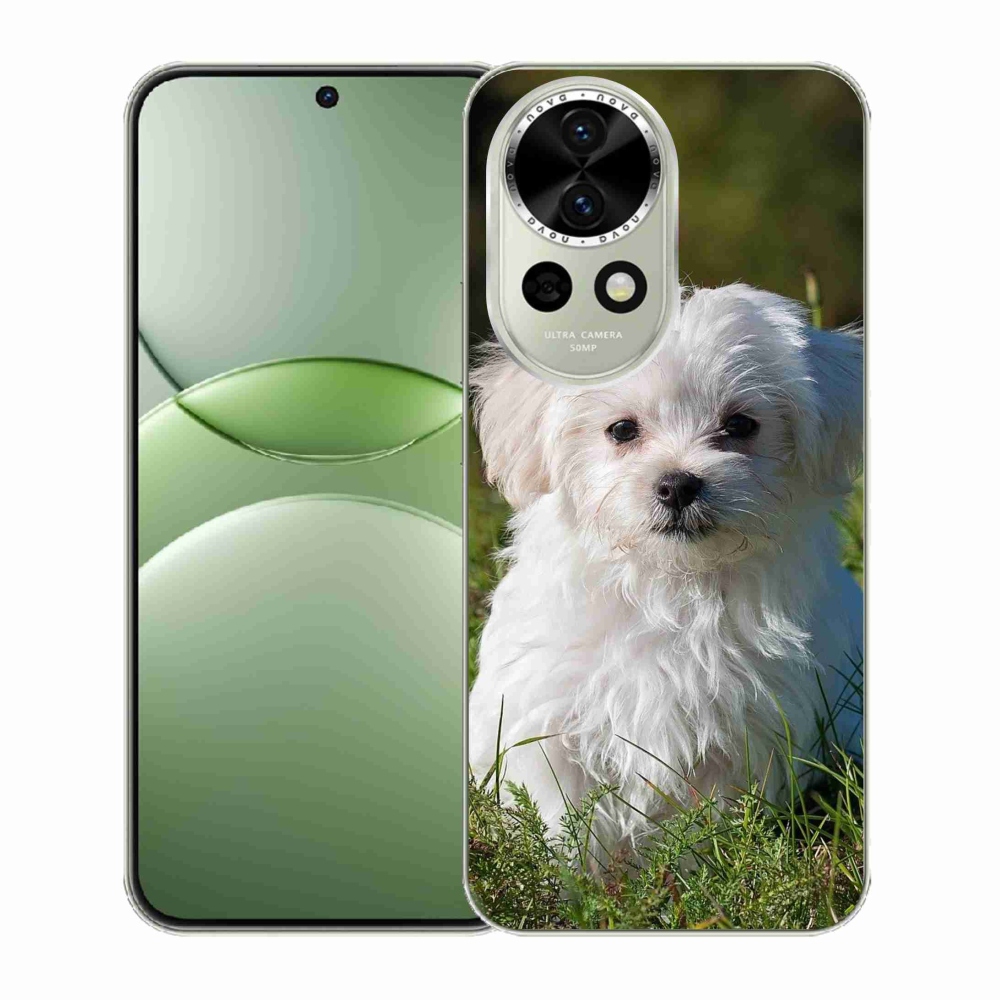 Gelový kryt mmCase na Huawei Nova 13 5G - bišonek