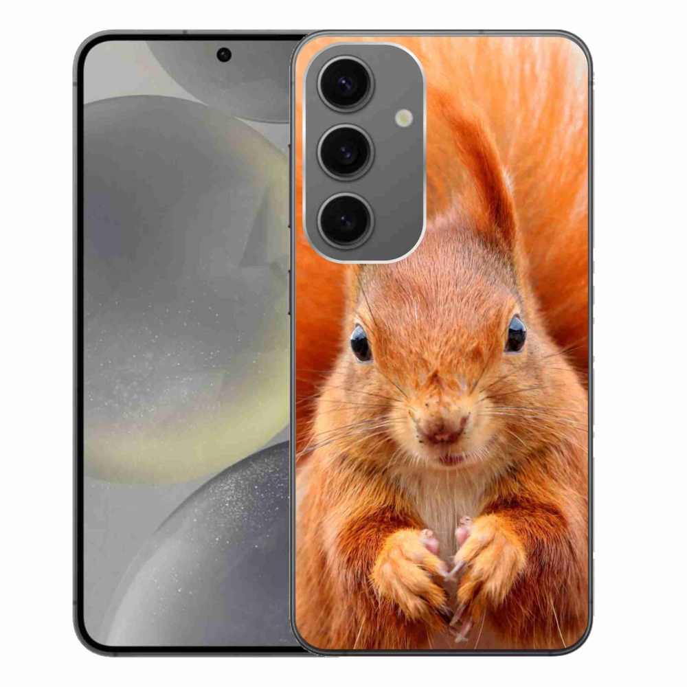 Gelový kryt mmCase na Samsung Galaxy S24+ - veverka