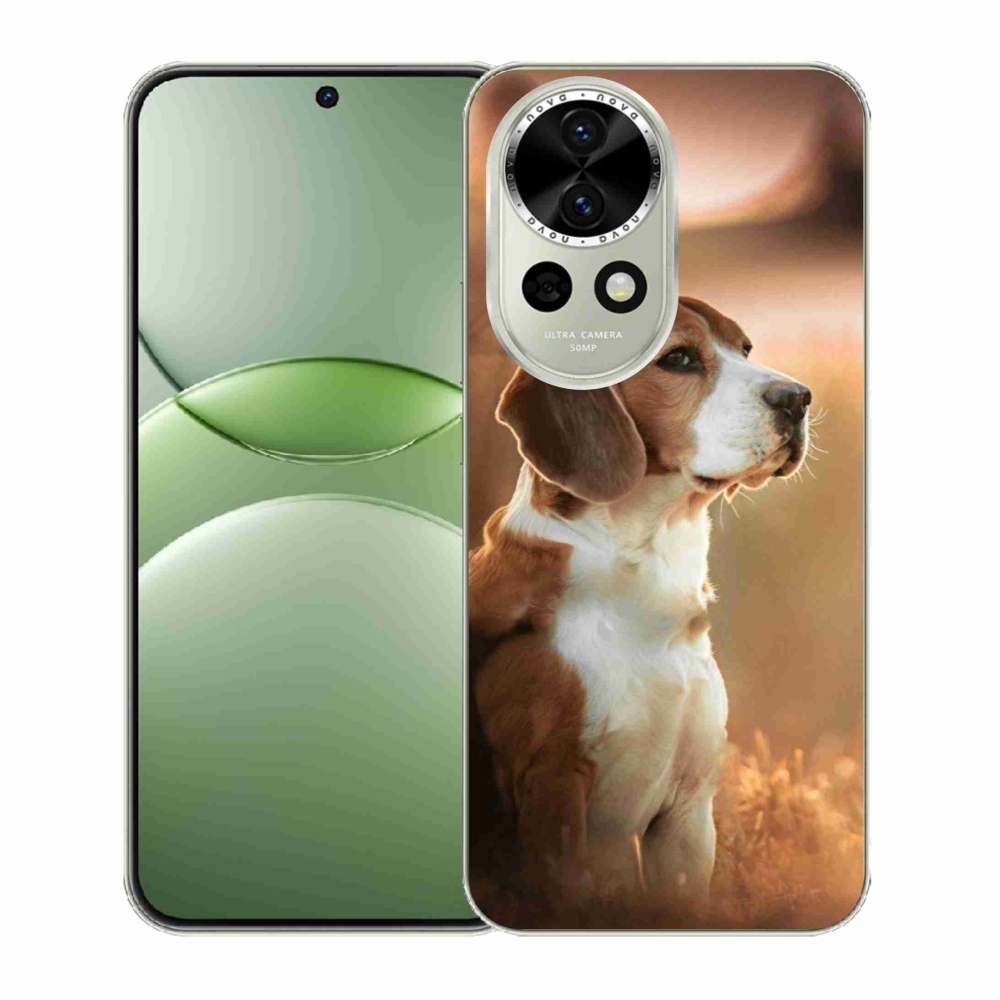 Gelový kryt mmCase na Huawei Nova 13 5G - bígl