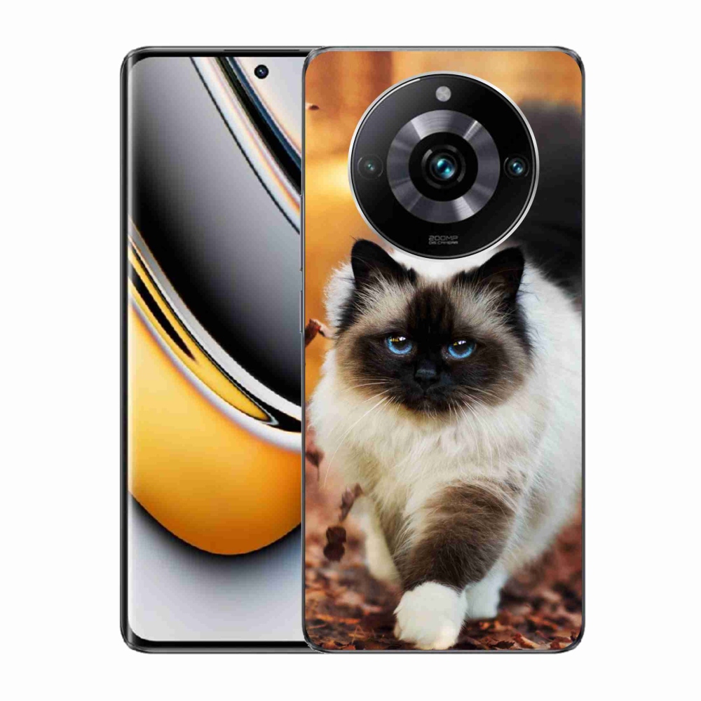 Gelový obal mmCase na Realme 11 Pro/11 Pro+ - kočka