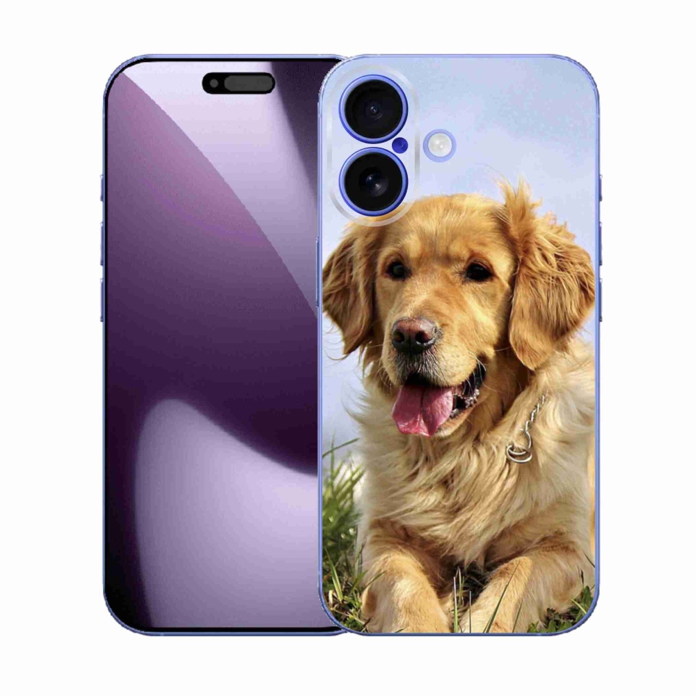 Gelový kryt mmCase na iPhone 17 - zlatý retrívr