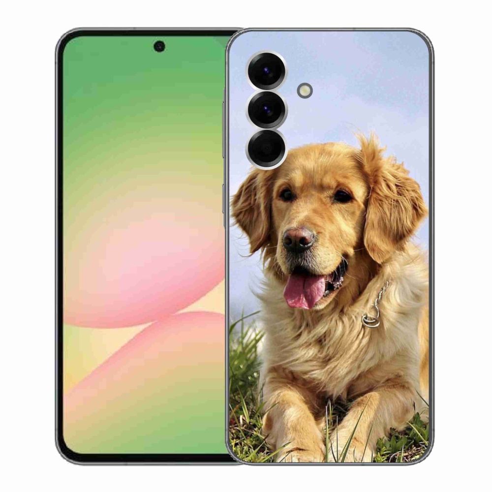 Gelový kryt mmCase na Samsung Galaxy A56 5G - zlatý retrívr