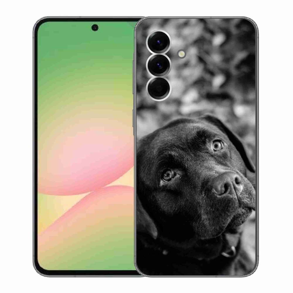 Gelový kryt mmCase na Samsung Galaxy A56 5G - labrador