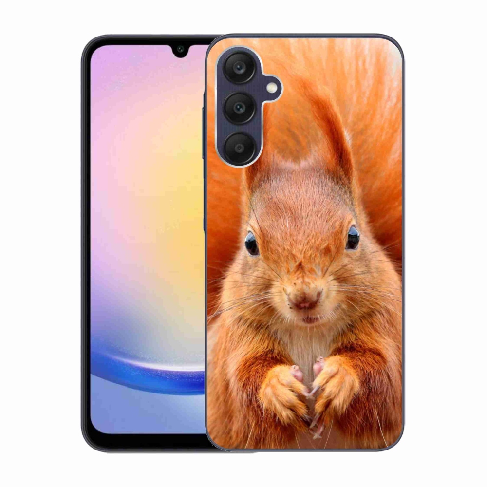 Gelový kryt mmCase na Samsung Galaxy A25 5G - veverka