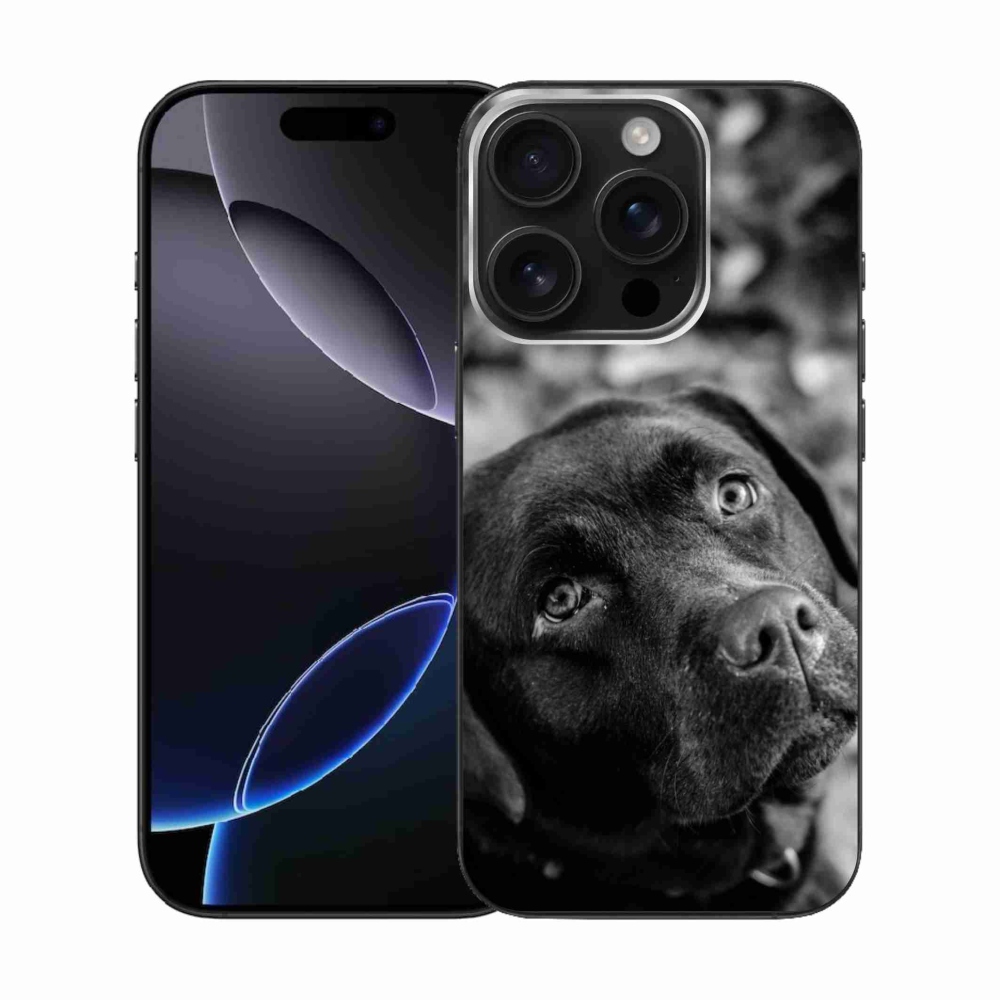 Gelový obal mmCase na iPhone 16 Pro - labrador