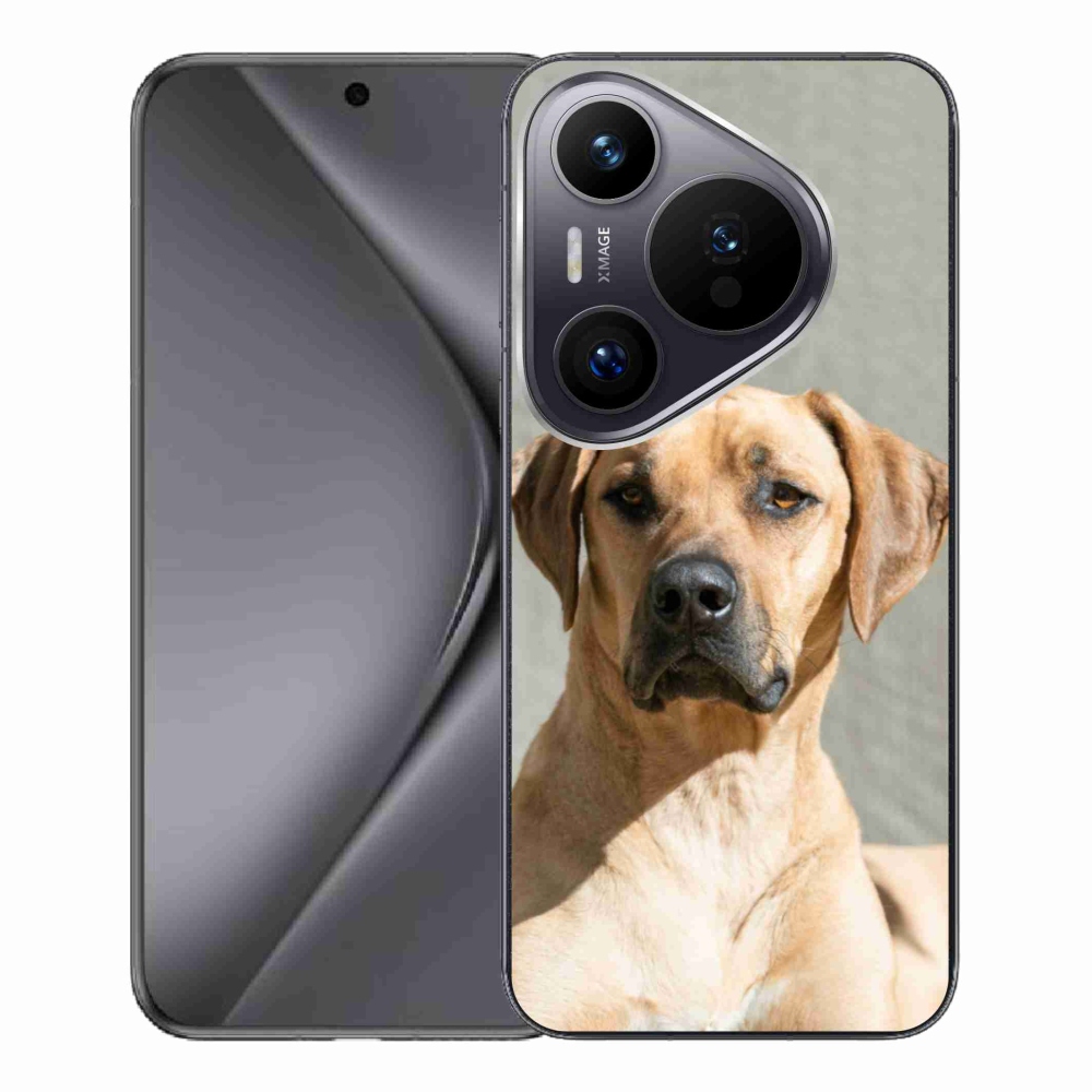 Gelový kryt mmCase na Huawei Pura 70 Pro - ridgeback