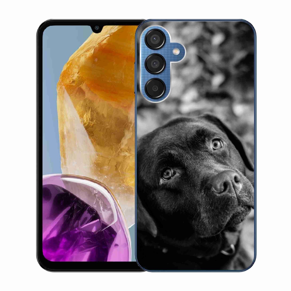 Gelový obal mmCase na Samsung Galaxy M15 5G - labrador