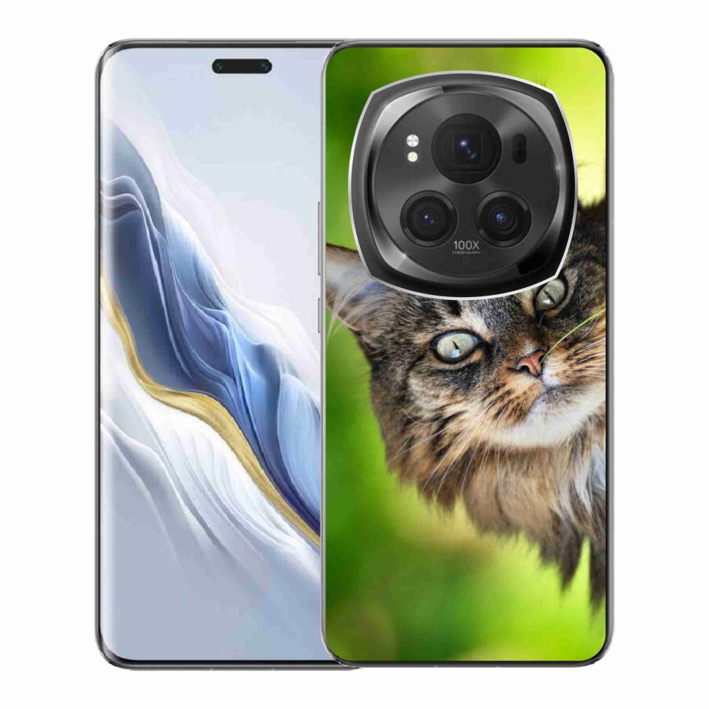 Gelový kryt mmCase na Honor Magic 6 Pro 5G - kočka 3