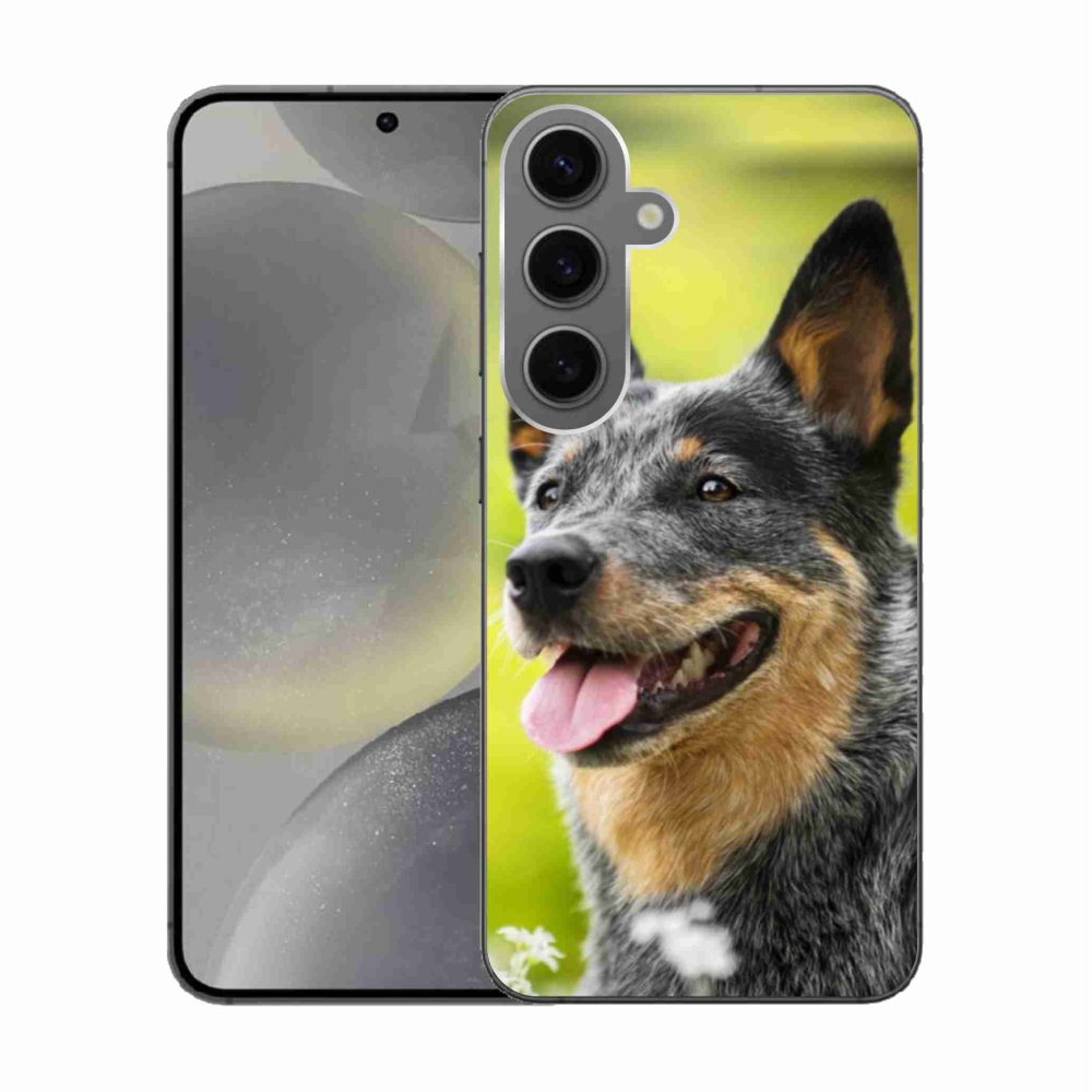 Gelový kryt mmCase na Samsung Galaxy S24 - australský honácký pes