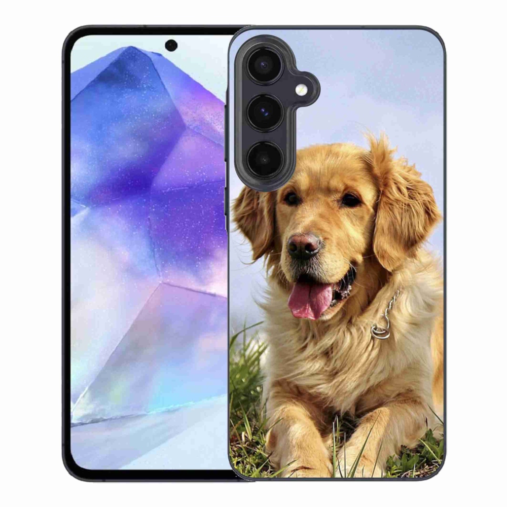 Gelový obal mmCase na Samsung Galaxy A55 5G - zlatý retrívr