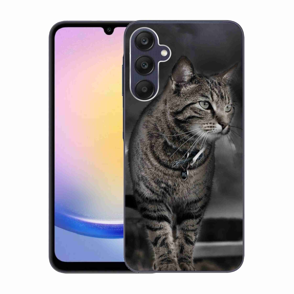 Gelový kryt mmCase na Samsung Galaxy A25 5G - kočka