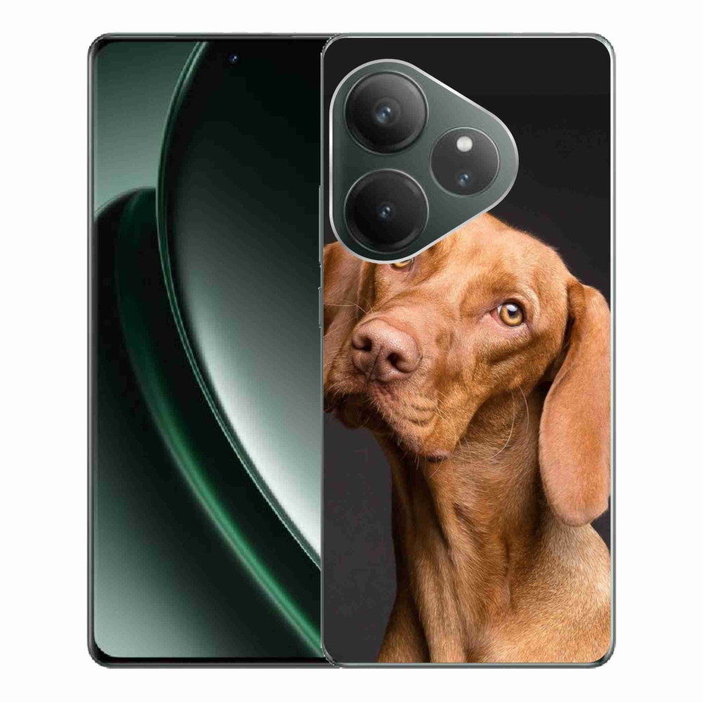 Gelový obal mmCase na Realme GT 6 5G/GT 6T 5G - maďarský ohař