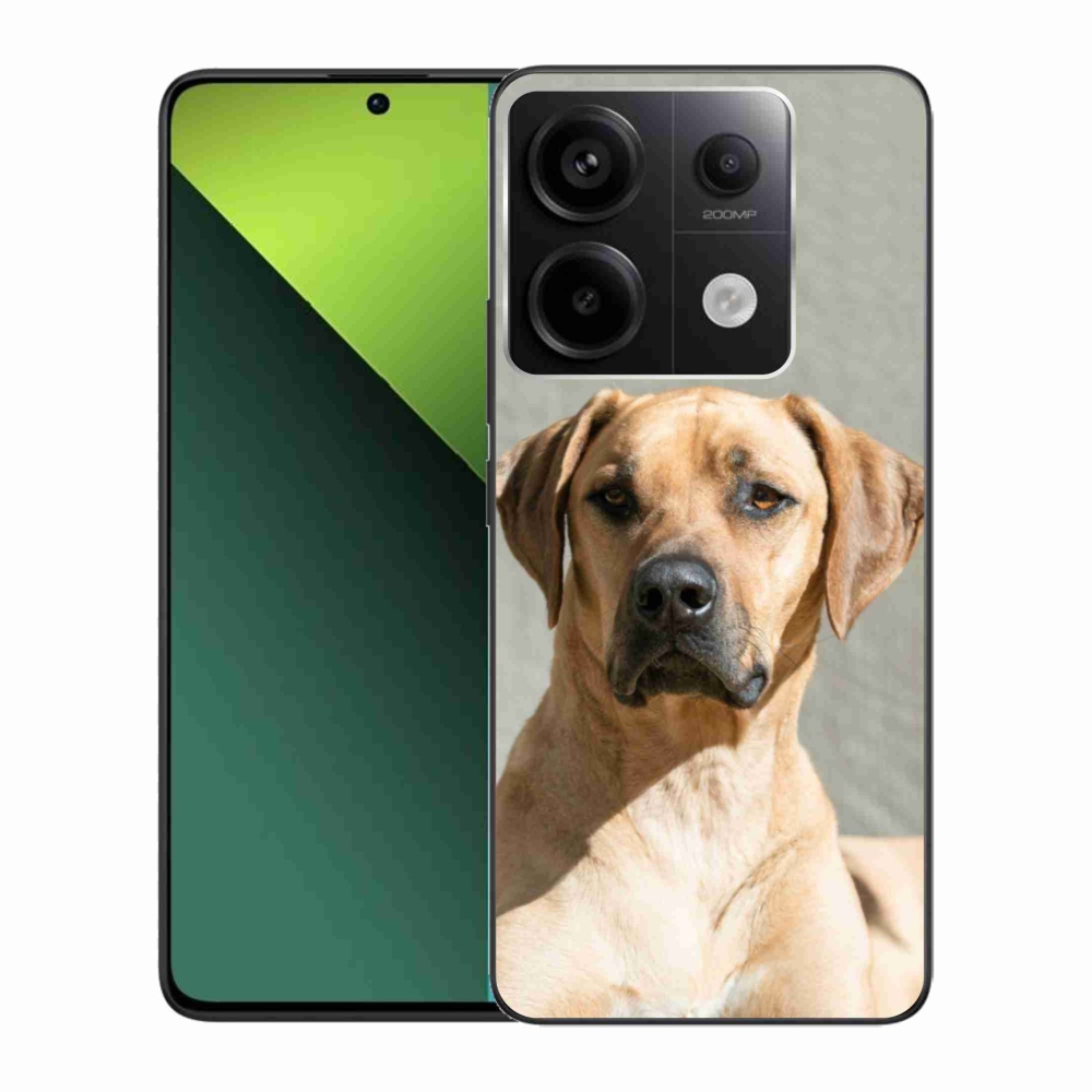 Gelový kryt mmCase na Xiaomi Redmi Note 13 Pro 5G/Poco X6 5G - ridgeback