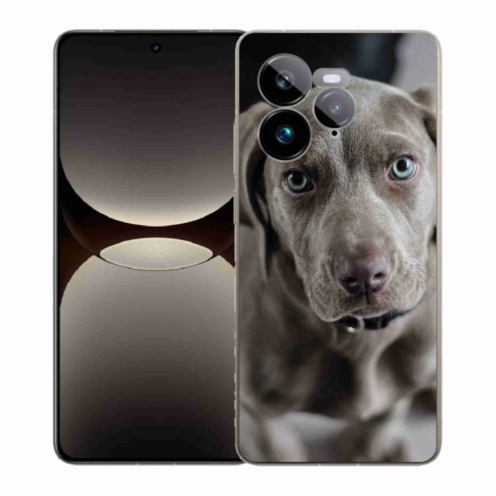 Gelový kryt mmCase na Realme GT 7 Pro 5G - výmarský ohař