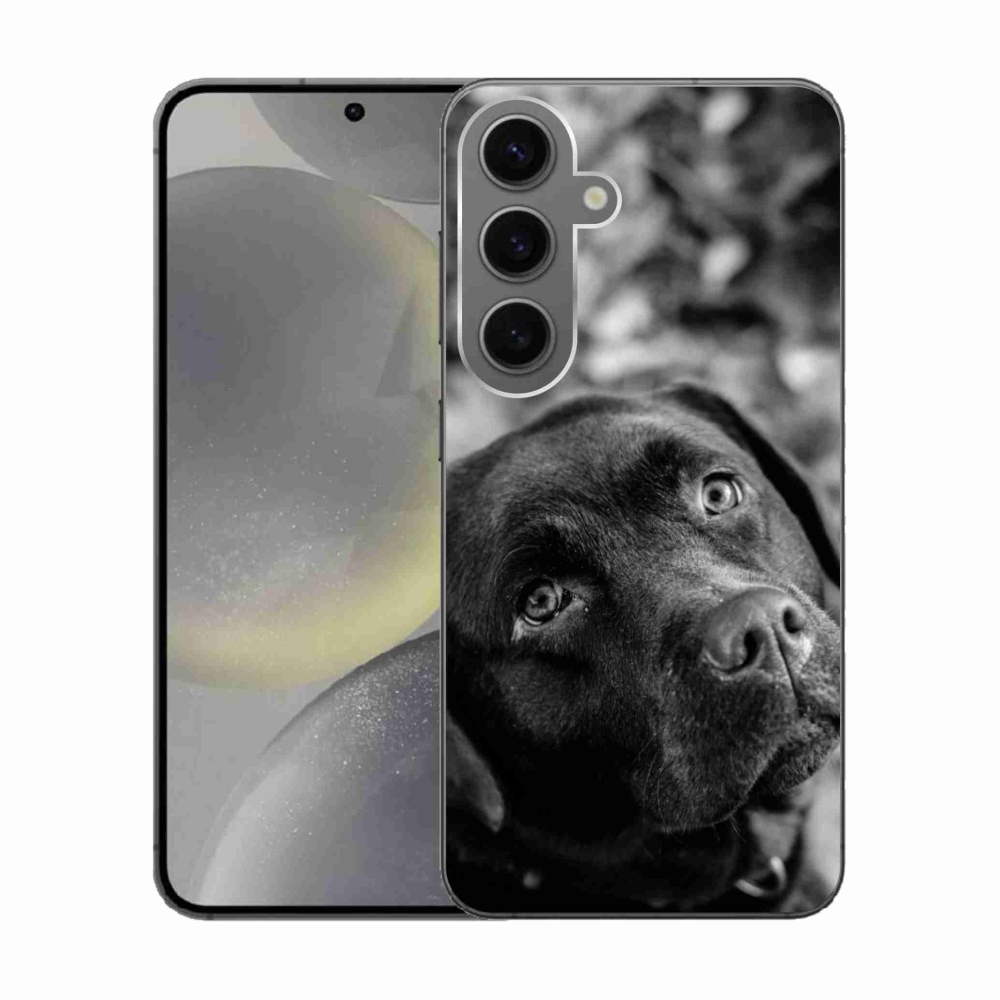 Gelový obal mmCase na Samsung Galaxy S24 - labrador