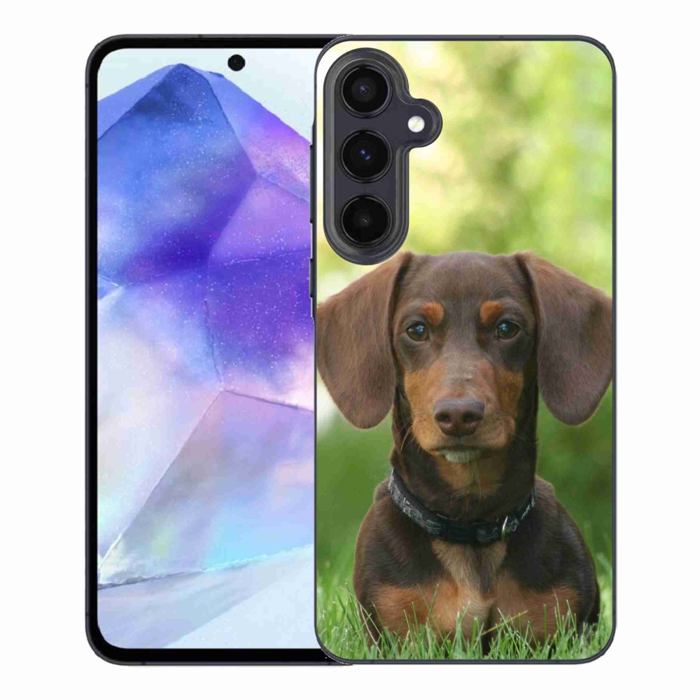 Gelový obal mmCase na Samsung Galaxy A55 5G - hnědý jezevčík