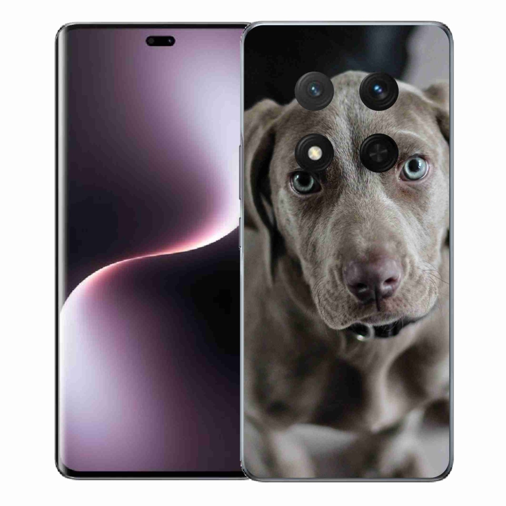 Gelový kryt mmCase na Honor Magic 7 Lite 5G - výmarský ohař