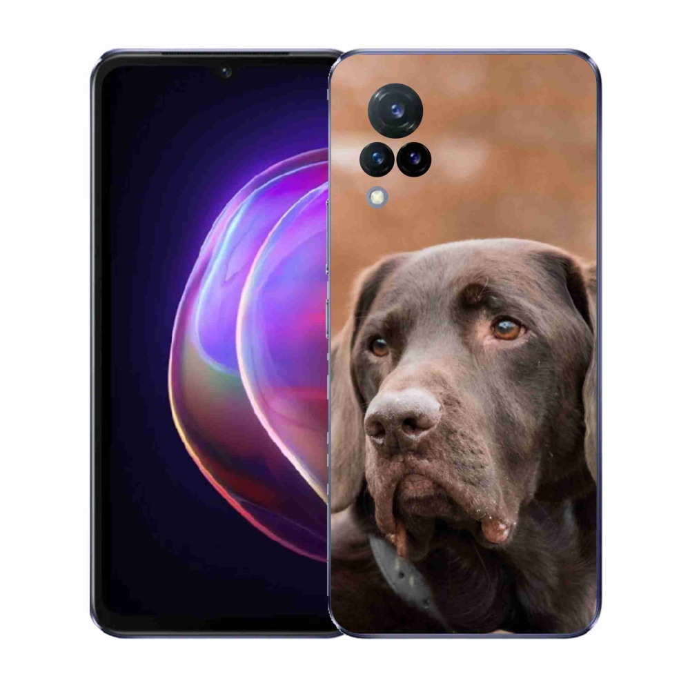 Gelový kryt mmCase na Vivo V21 4G/5G - hnědý labrador