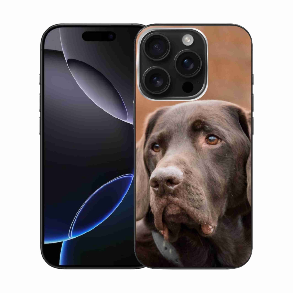 Gelový obal mmCase na iPhone 16 Pro - hnědý labrador