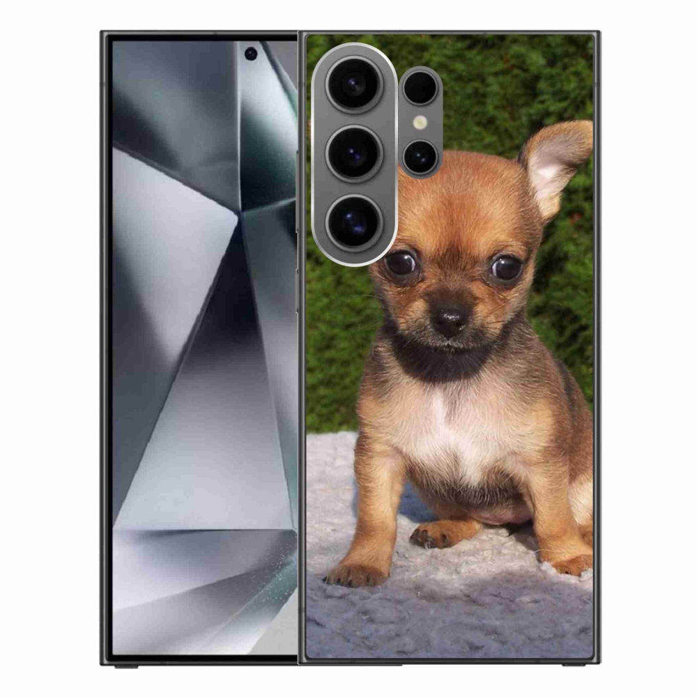 Gelový obal mmCase na Samsung Galaxy S24 Ultra - čivava 3