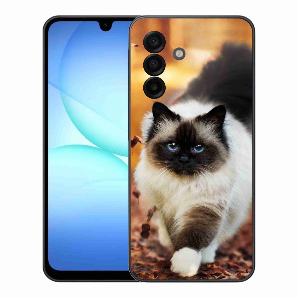 Gelový kryt mmCase na Samsung Galaxy A17 4G/5G - kočka