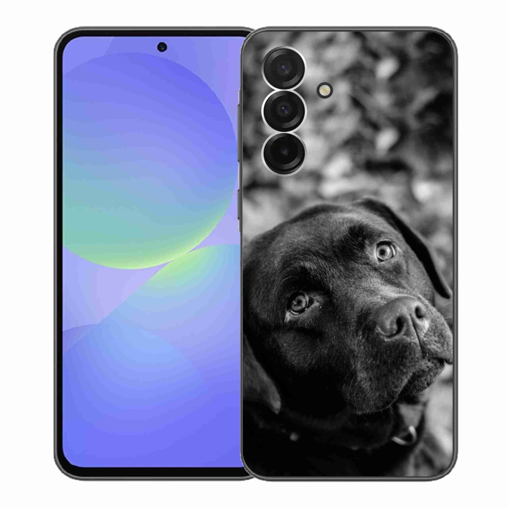 Gelový kryt mmCase na Samsung Galaxy A36 5G - labrador