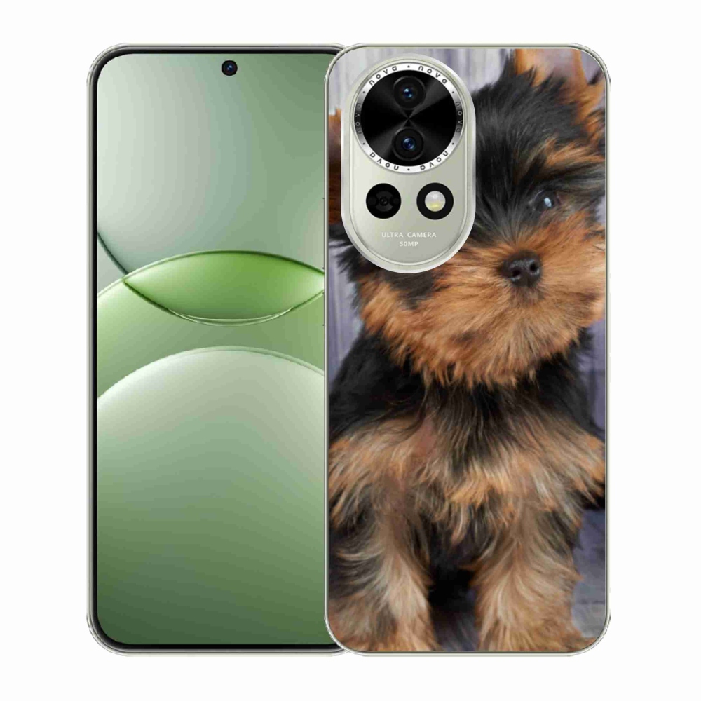 Gelový kryt mmCase na Huawei Nova 13 5G - jorkšír 9