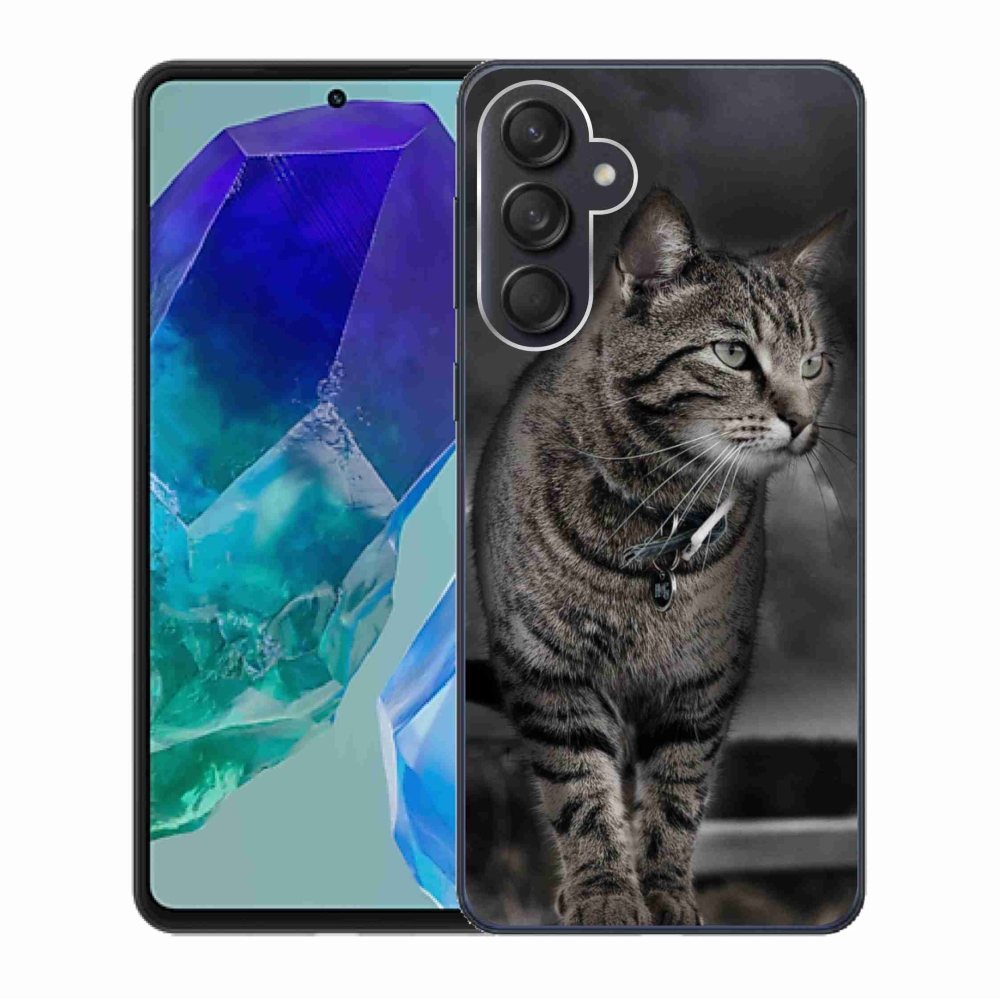 Gelový kryt mmCase na Samsung Galaxy M55 5G - kočka