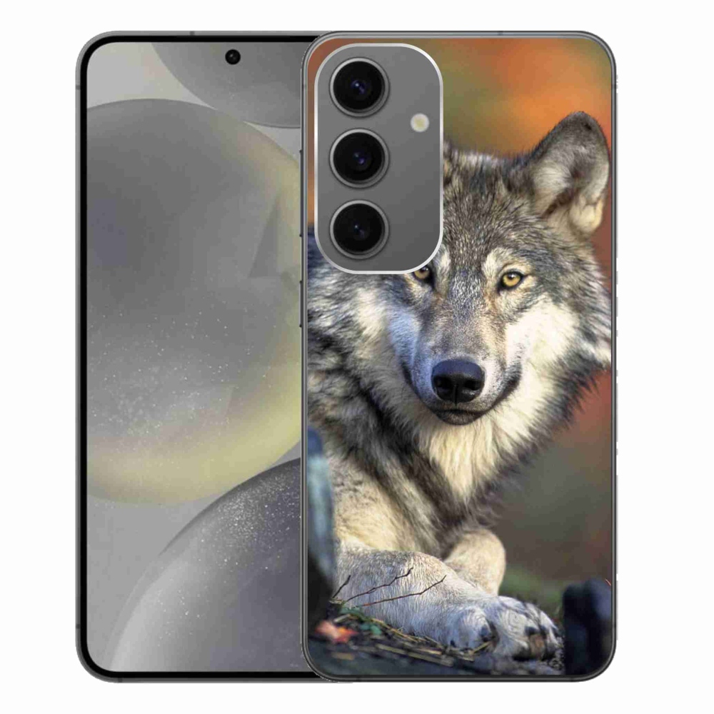Gelový obal mmCase na Samsung Galaxy S24+ - vlk