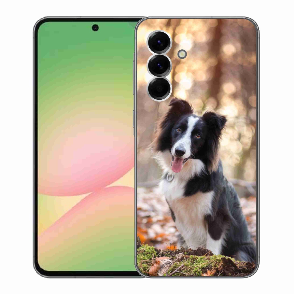 Gelový kryt mmCase na Samsung Galaxy A56 5G - border kolie 1