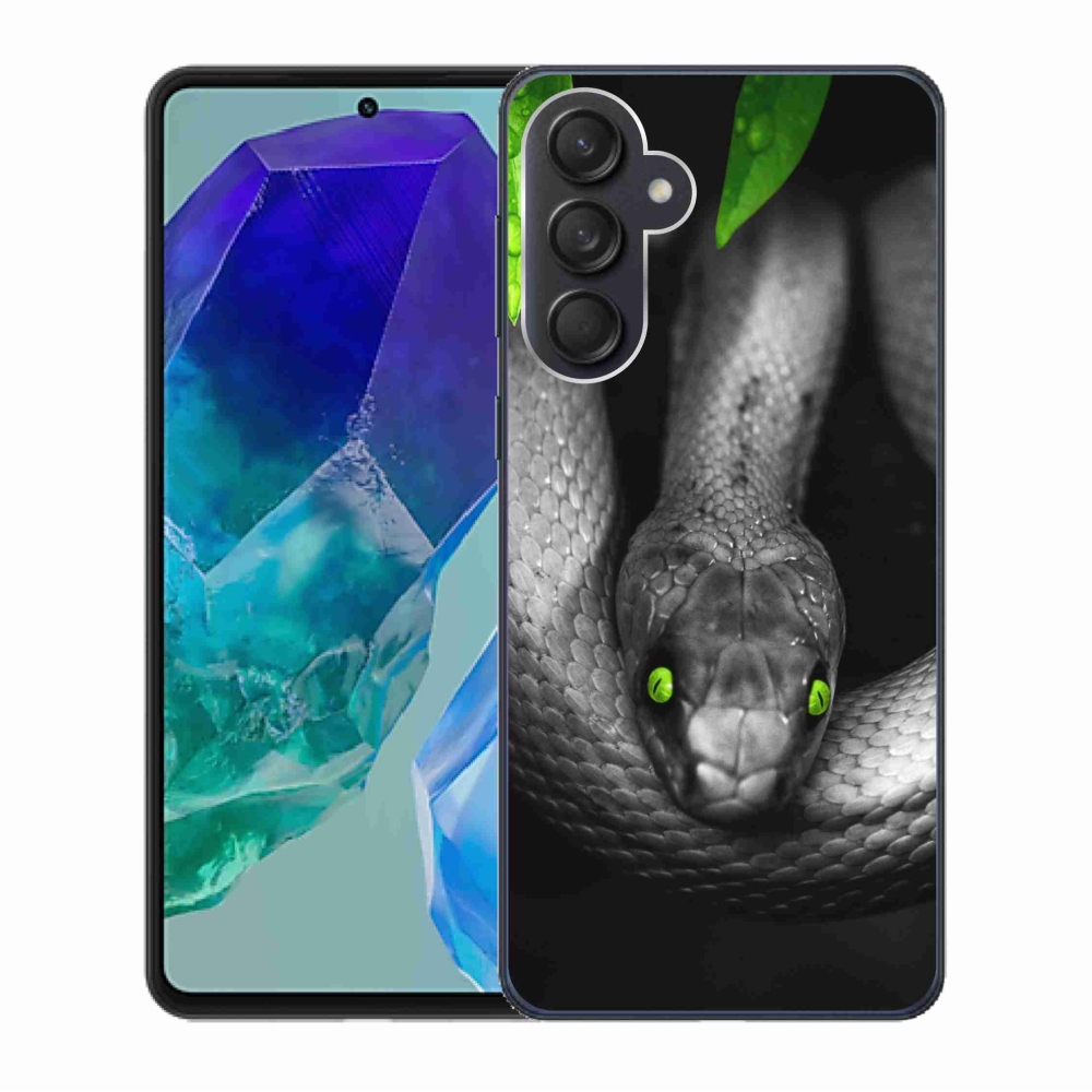 Gelový kryt mmCase na Samsung Galaxy M55 5G - had