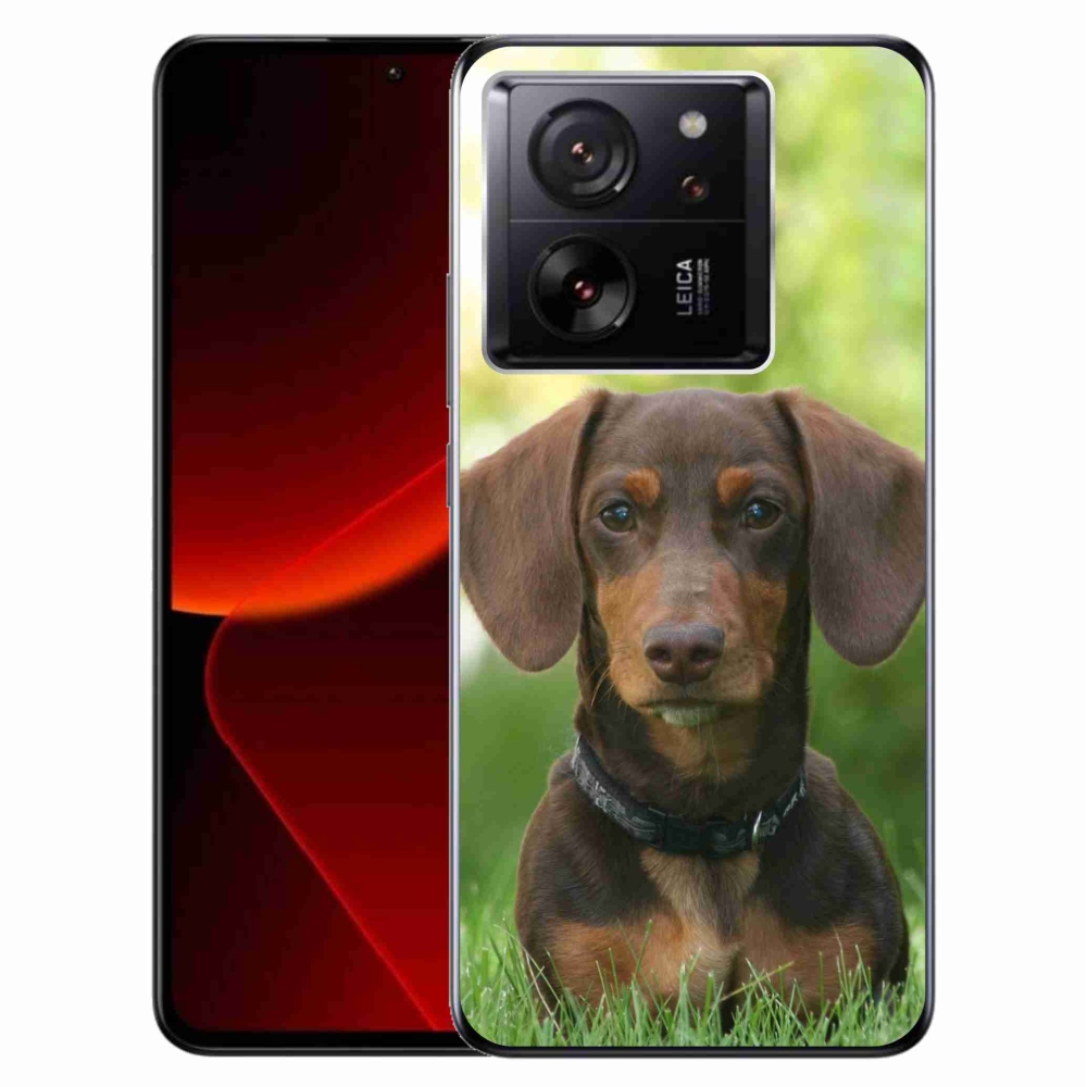 Gelový obal mmCase na Xiaomi 13T/13T Pro - hnědý jezevčík