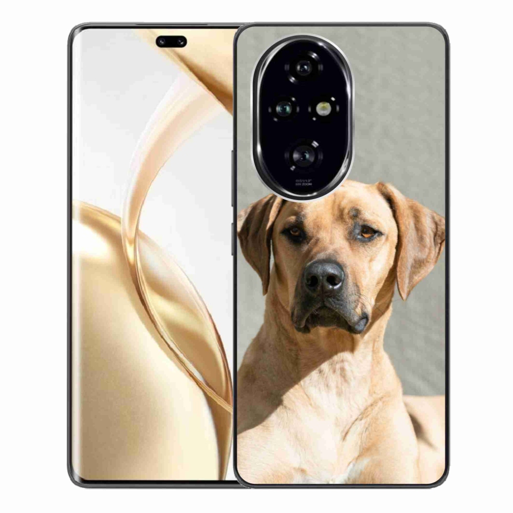 Gelový kryt mmCase na Honor 200 Pro 5G - ridgeback