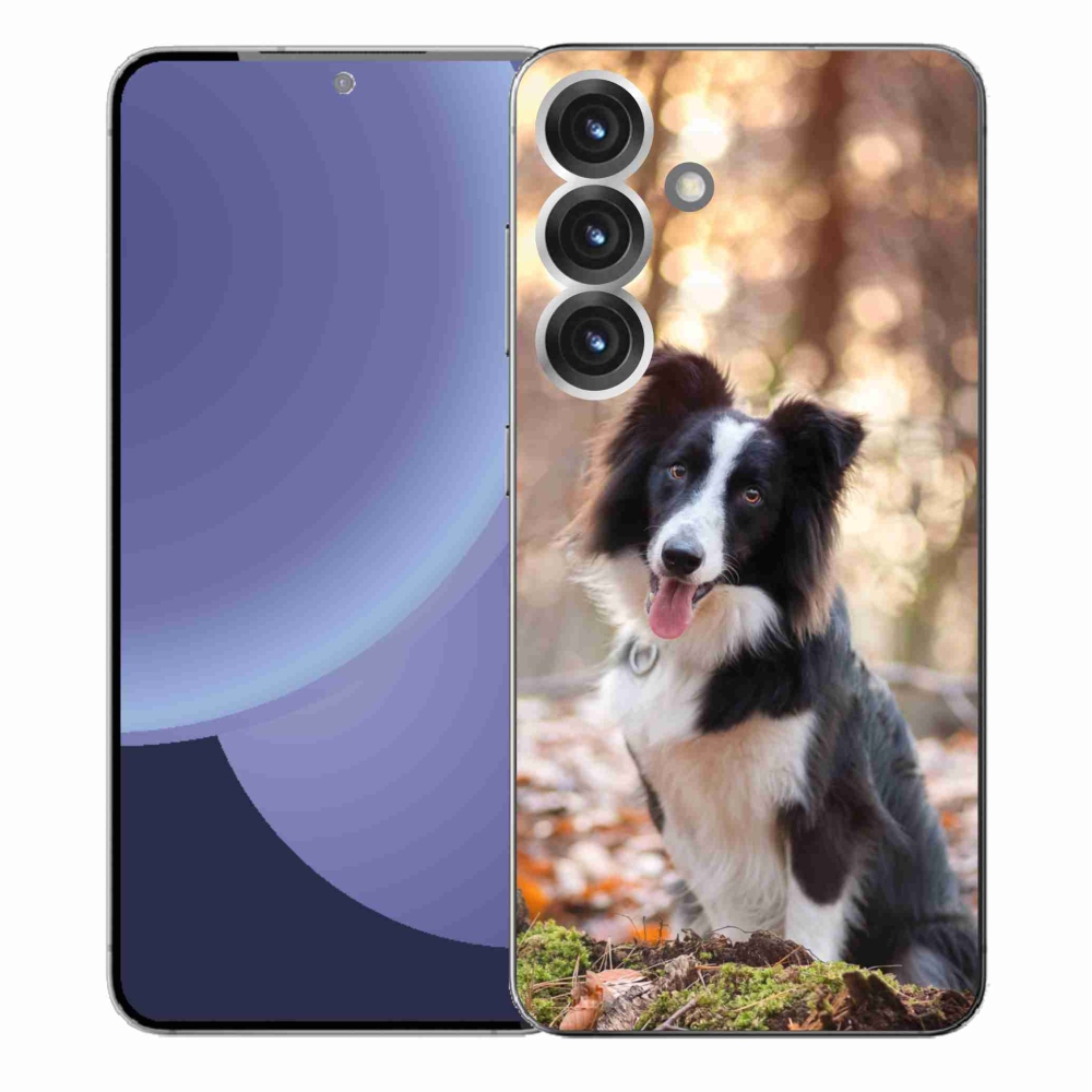 Gelový kryt mmCase na Samsung Galaxy S25+ - border kolie 1